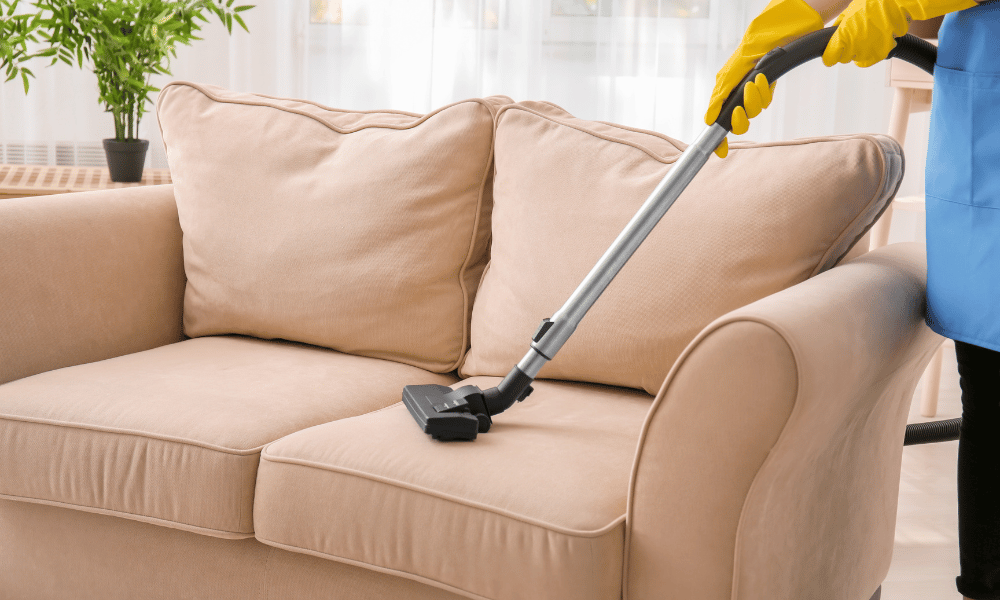 Full Time Cleaner Abu Dhabi